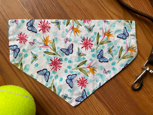 Pet Bandanas